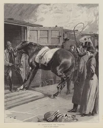 Sprzeciw wobec podróży